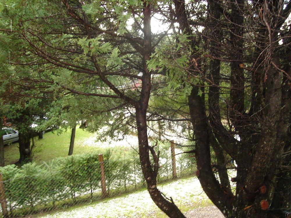 Tinsel'S House San Carlos de Bariloche Exterior foto